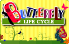 Butterfly Life Cycle Butterfly Life Cycle